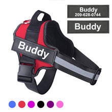 Carregar imagem no visualizador da galeria, 🔥UM DOS MAIS VENDIDOS DO MUNDO CHEGOU NO NOSSO SITE! OBETENHA O Arnês de cão reflexivo respirável ajustávelCOM 50% off + frete gratis!